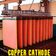 Copper Cathode