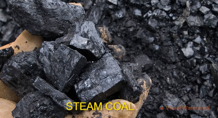 Steam Coal
